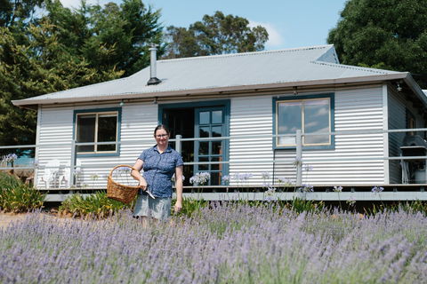 Nannup Lavender Farm - Airlie Beach Holiday 1