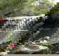 Nellies Glen Picnic Area - Airlie Beach Holiday