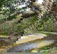 Saltwater National Park - Airlie Beach Holiday