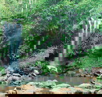 Tamborine National Park - Airlie Beach Holiday