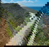 The Coast Walking Track - Airlie Beach Holiday