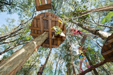 TreeTops Newcastle - Airlie Beach Holiday 1