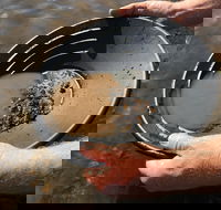 Tuena Panning for Gold - Airlie Beach Holiday