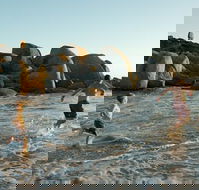 Venus Bay - Airlie Beach Holiday