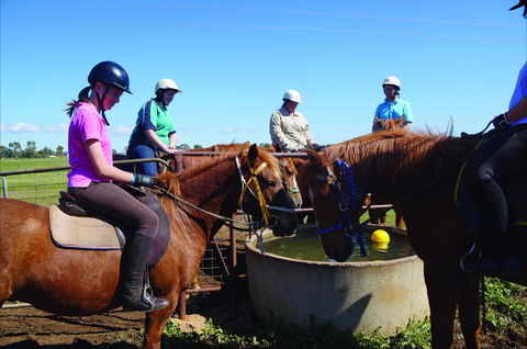 Western Plains Riding Centre - Open - Airlie Beach Holiday 0