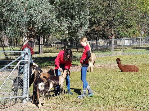 Animal Farm Visit - Airlie Beach Holiday 1
