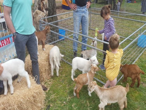 Animal Farm Visit - Airlie Beach Holiday 2
