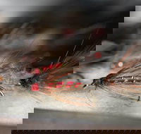 Australian Fly Fishing Museum - Airlie Beach Holiday