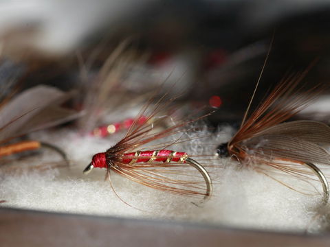 Australian Fly Fishing Museum - Airlie Beach Holiday 0