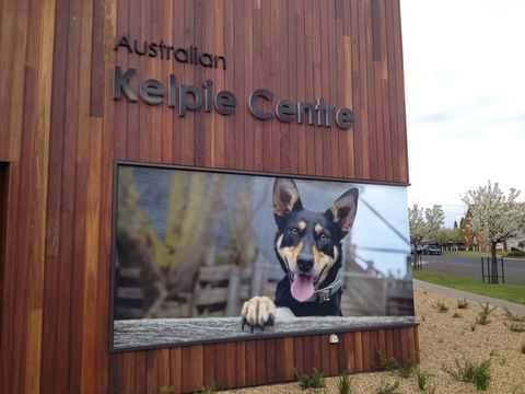 Australian Kelpie Centre - Airlie Beach Holiday 0