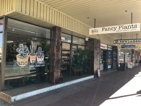 Fancy Plants - Airlie Beach Holiday 1