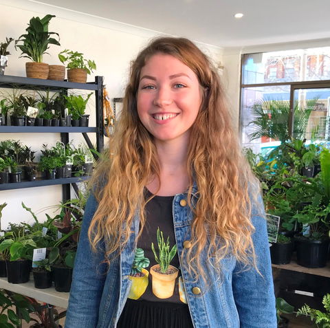 Fancy Plants - Airlie Beach Holiday 2