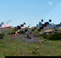 Jim Salmon  Wetland Education Site - Airlie Beach Holiday