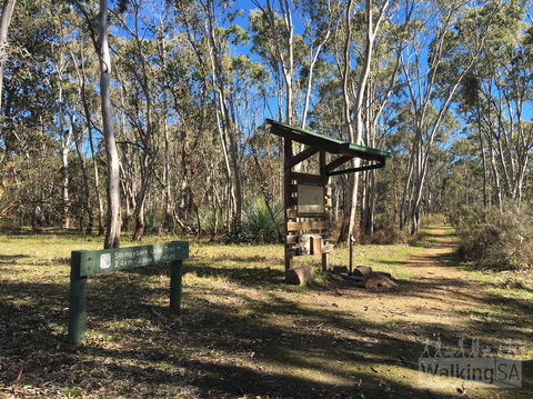 Kaiserstuhl Conservation Park - Airlie Beach Holiday 0