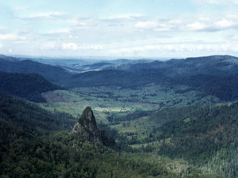 Numinbah - Airlie Beach Holiday 0