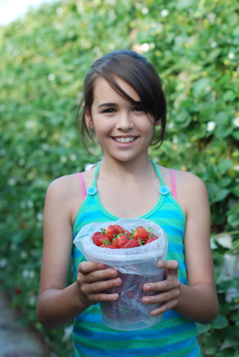 Ricardoes Tomatoes And Strawberries Farm, Port Macquarie - Airlie Beach Holiday 0