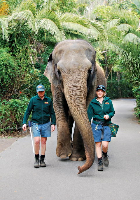Animals And Family Fun - Airlie Beach Holiday 2
