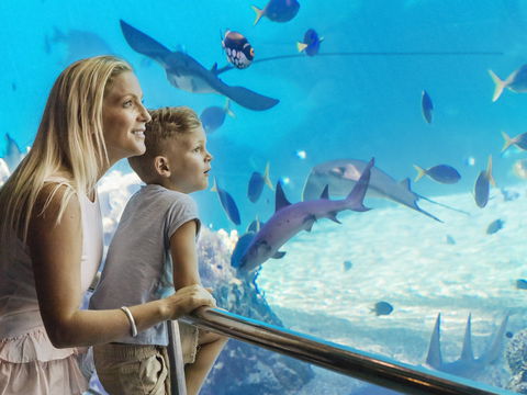 Australia's Sea World - Airlie Beach Holiday 2
