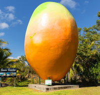 Big Mango - Airlie Beach Holiday