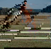 Camden Bicentennial Equestrian Park - Airlie Beach Holiday