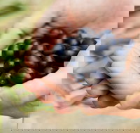 Eat Pick Grow Trail - Wanneroo and Chittering - Airlie Beach Holiday