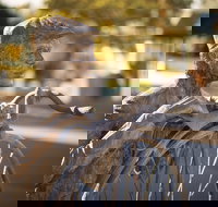 Evandale - Airlie Beach Holiday