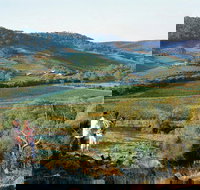 Farm Flavour Trail Chittering Valley - Airlie Beach Holiday