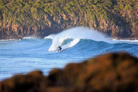 Killalea Reserve - Airlie Beach Holiday 1