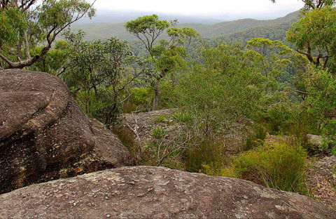 Pigeon House Mountain Didthul Walking Track - Airlie Beach Holiday 0
