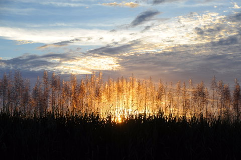Proserpine - Airlie Beach Holiday 1