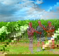 The Shed Gallery - Airlie Beach Holiday