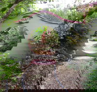Black Dragon Gardens Wulong Yuan - Airlie Beach Holiday