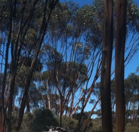 Boorabbin National Park - Airlie Beach Holiday