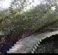 Carole Green Walkway - John Oxley Reserve - Airlie Beach Holiday