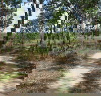 Djukbinj National Park - Airlie Beach Holiday