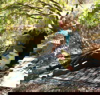 Haig Street Quarry Bushland Reserve Trails - Airlie Beach Holiday