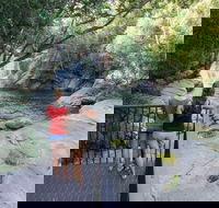 Josephine Falls walking track Wooroonooran National Park - Airlie Beach Holiday