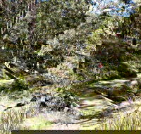 Wollomombi Walking Track - Airlie Beach Holiday