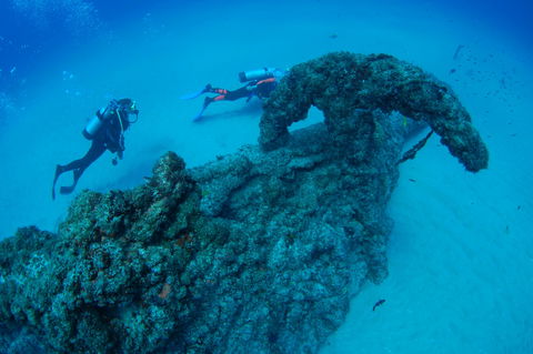 Aarhus Dive Site - Airlie Beach Holiday 1