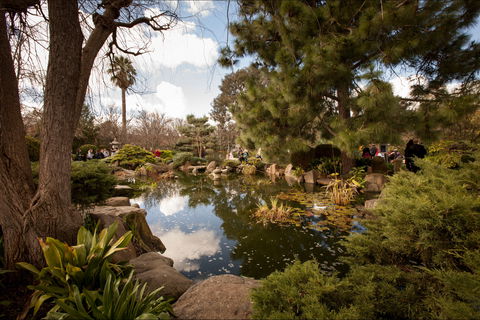 Adelaide Himeji Garden - Airlie Beach Holiday 1