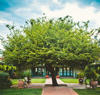 Ainslie  Gorman Arts Centres - Airlie Beach Holiday