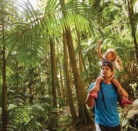 Canungra - Airlie Beach Holiday