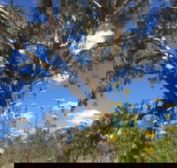 Euroa Arboretum - Airlie Beach Holiday