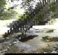 Nellies Glen Carrington Falls - Airlie Beach Holiday