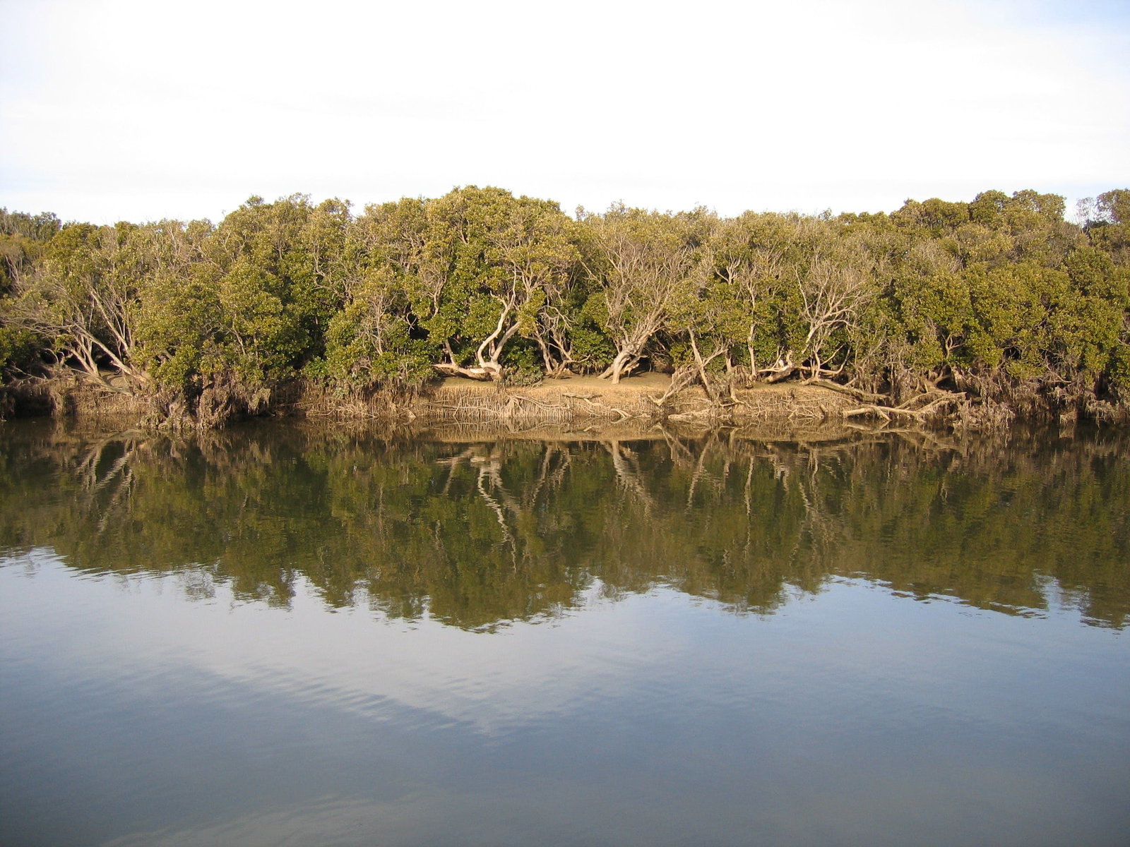 Clinton ACT Airlie Beach Holiday