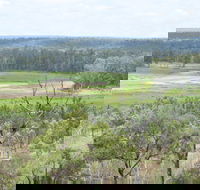 Princess Hills Girringun National Park - Airlie Beach Holiday
