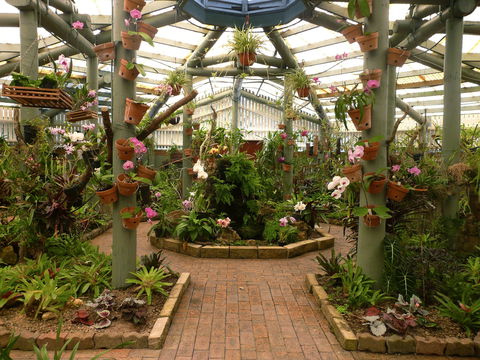 Family Fun In Mackay City - Airlie Beach Holiday 1