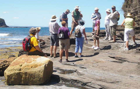 Gondwana Coast Fossil Walk - Airlie Beach Holiday 0