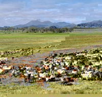 Marlborough - Airlie Beach Holiday