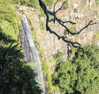 Morans Falls track Lamington National Park - Airlie Beach Holiday